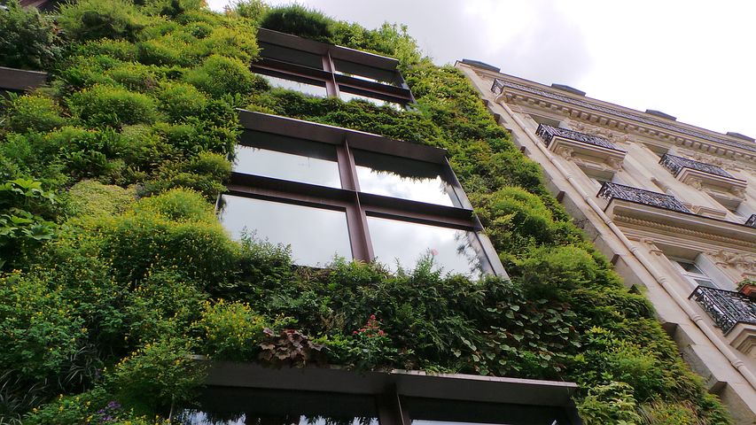 A greenwall - an example of the changes that can be incorporated in to carbon zero buildings.