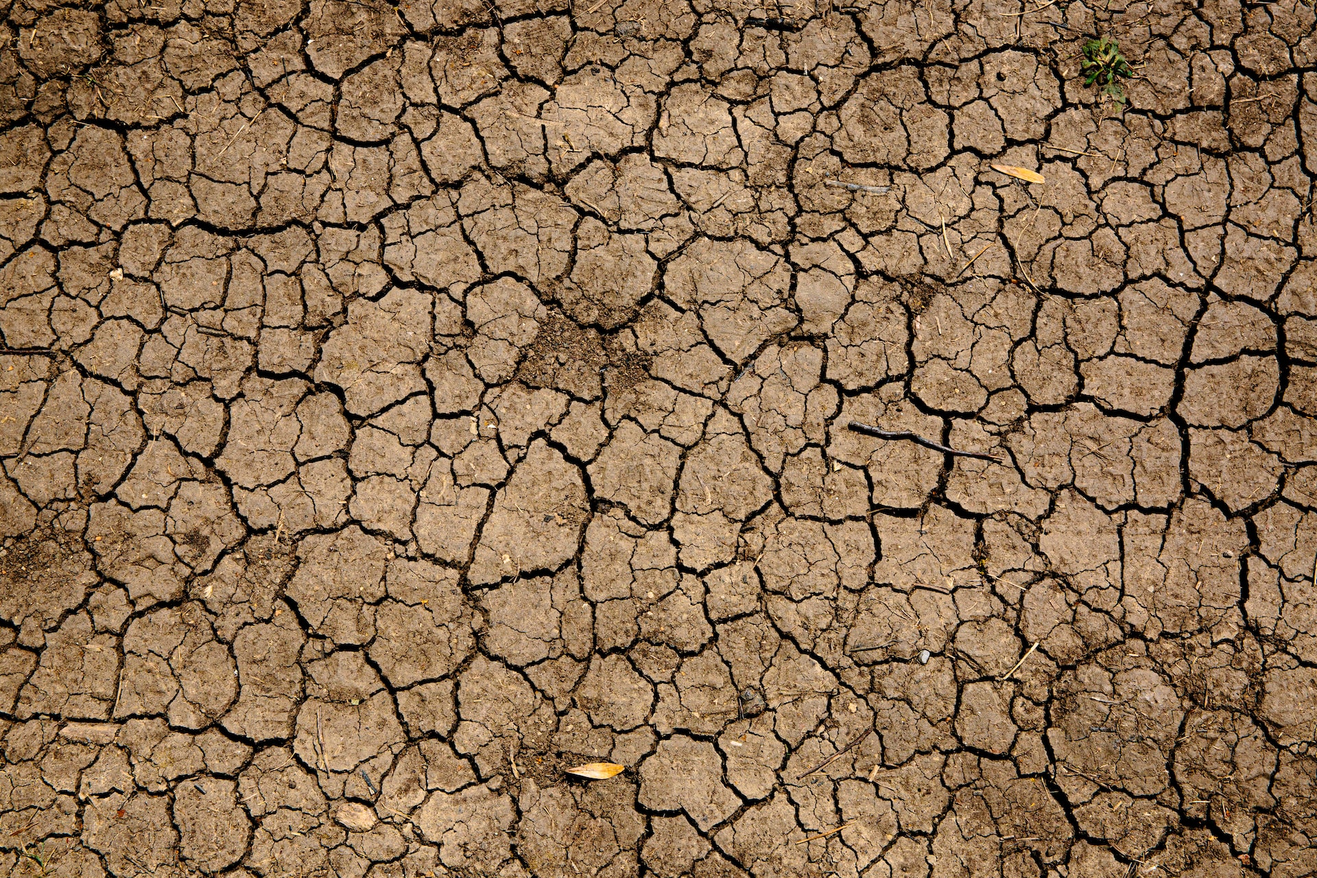 What Happens if a Drought is Declared in England?
