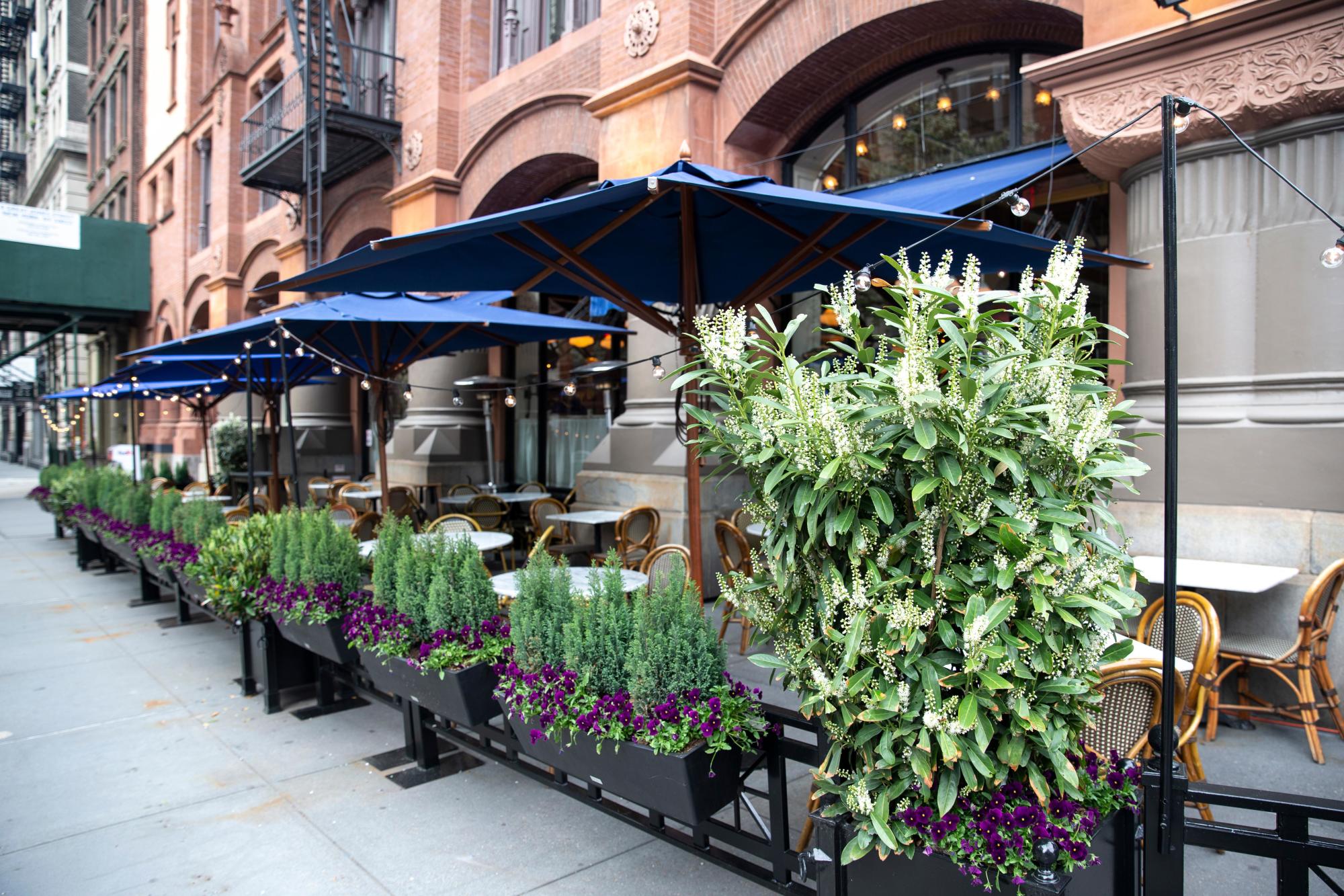 UK's Al Fresco Culture Change – Creating Safe Outdoor Dining Spaces