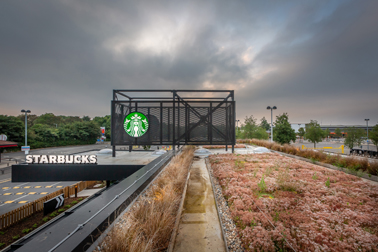 The new, green Starbucks store is located at Willow Tree Lane
