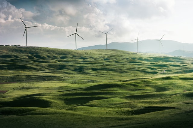 Green Recovery – What is a Green Job?