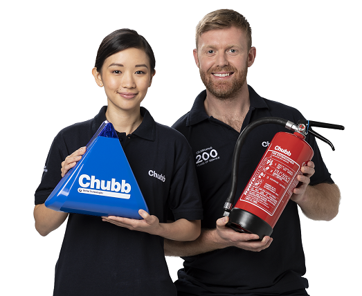 Chubb Superbrand Award