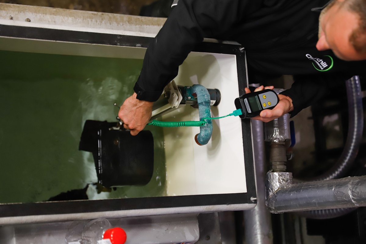 How Office Occupancy Trends Are An Overlooked Legionnaires’ Disease Risk