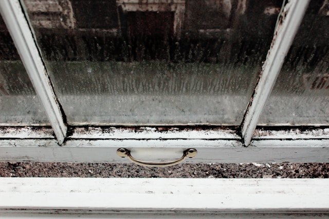 Phase 1 of Awaab’s Law to Apply to Social Landlords from October 2025