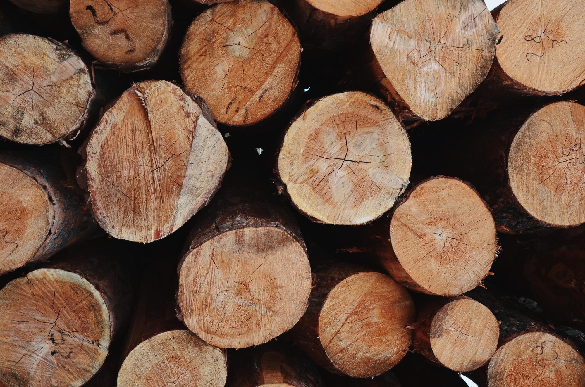 France Unveils New 50% Timber Sustainability Law
