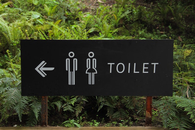How Safe is it to Use a Public Toilet?