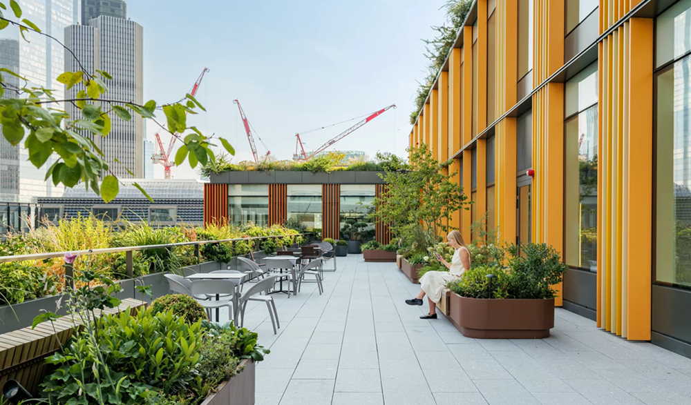The Making Of JLL’s Flagship Office In The UK