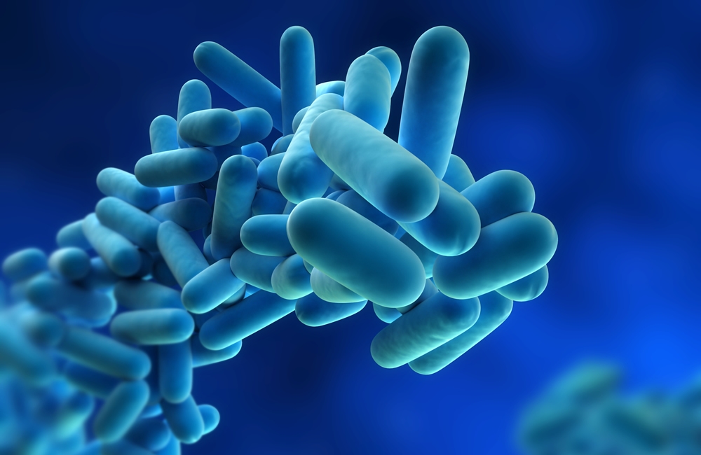 Legionella Checks On Water Heating Systems Essential, Says Rinnai
