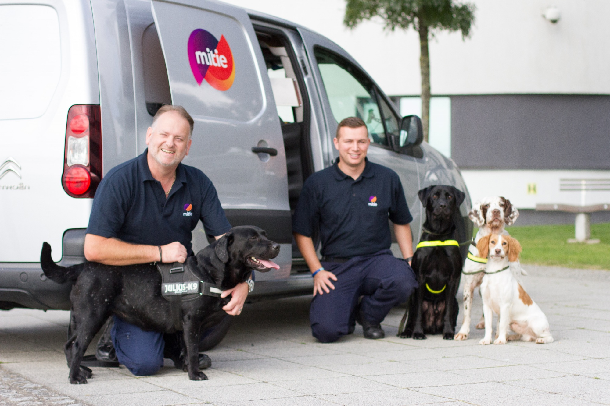 Mitie Sniffer Dogs