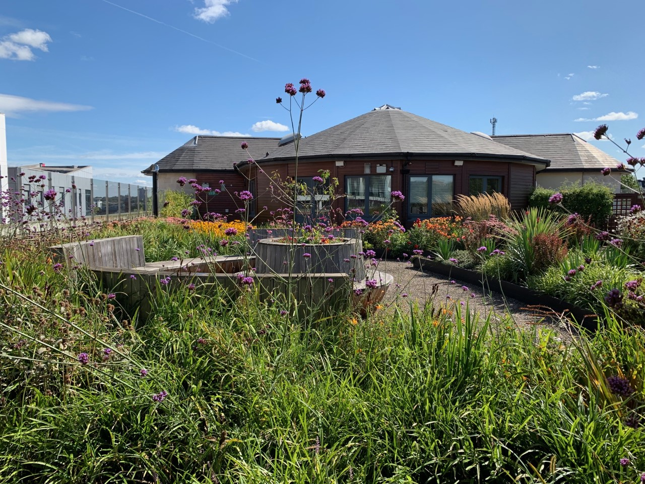  Nottingham Trent University's roof garden on Boot library.