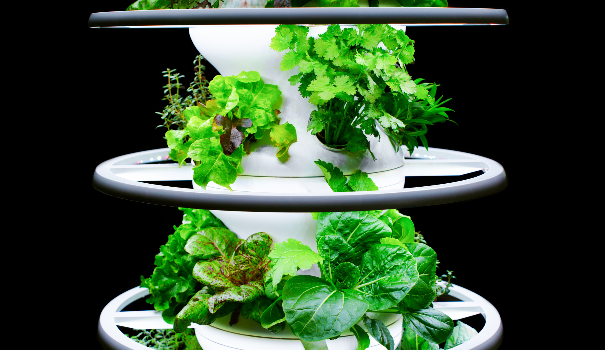OCS Introduces Urban Farming Techniques at Client Sites
