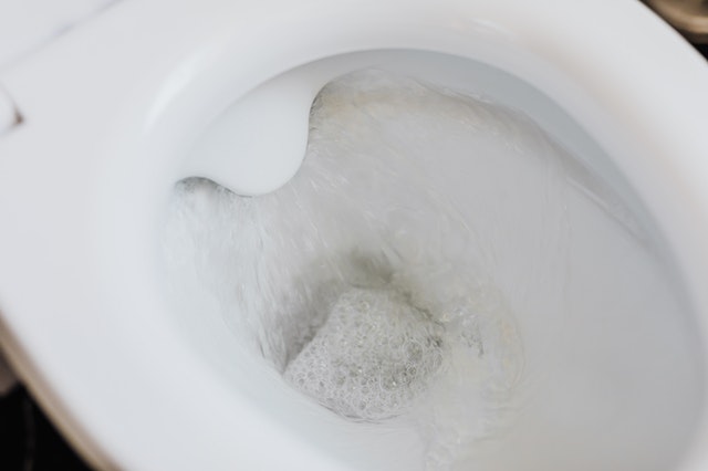 Dual-Flush Toilets Waste Millions of Litres of Water a Week