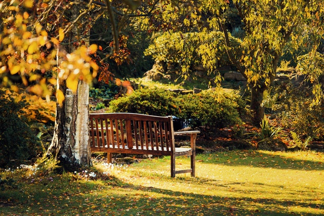 Find a Ricky Gervais After Life Bench Near Your Workplace