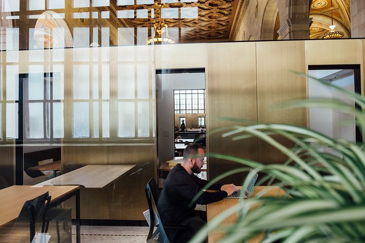 Plants and light help the office environment