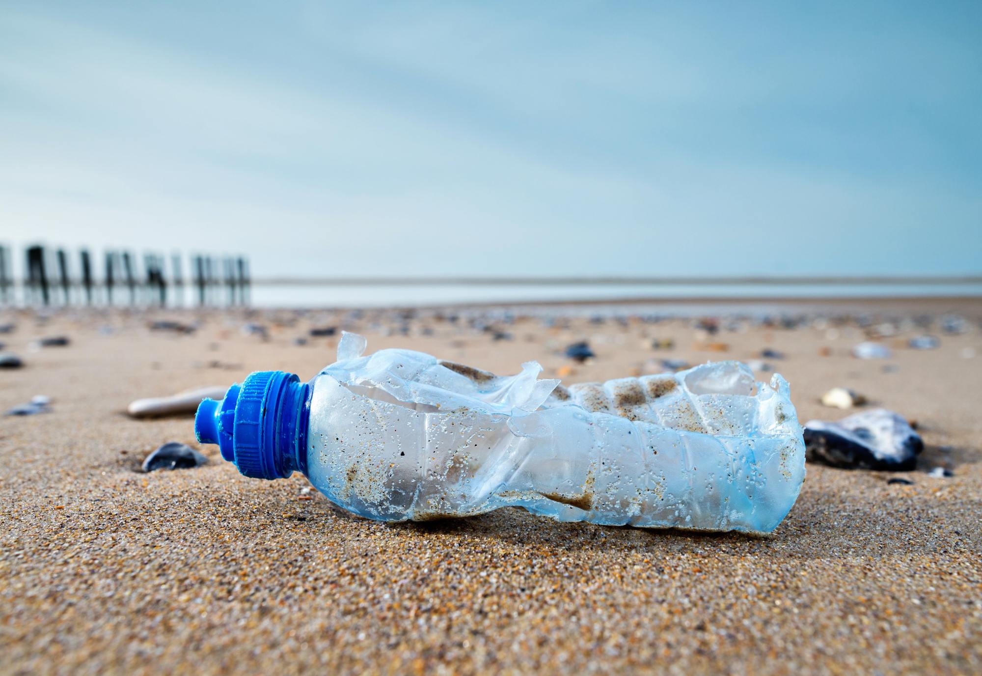 Plastic Bottle Pollution