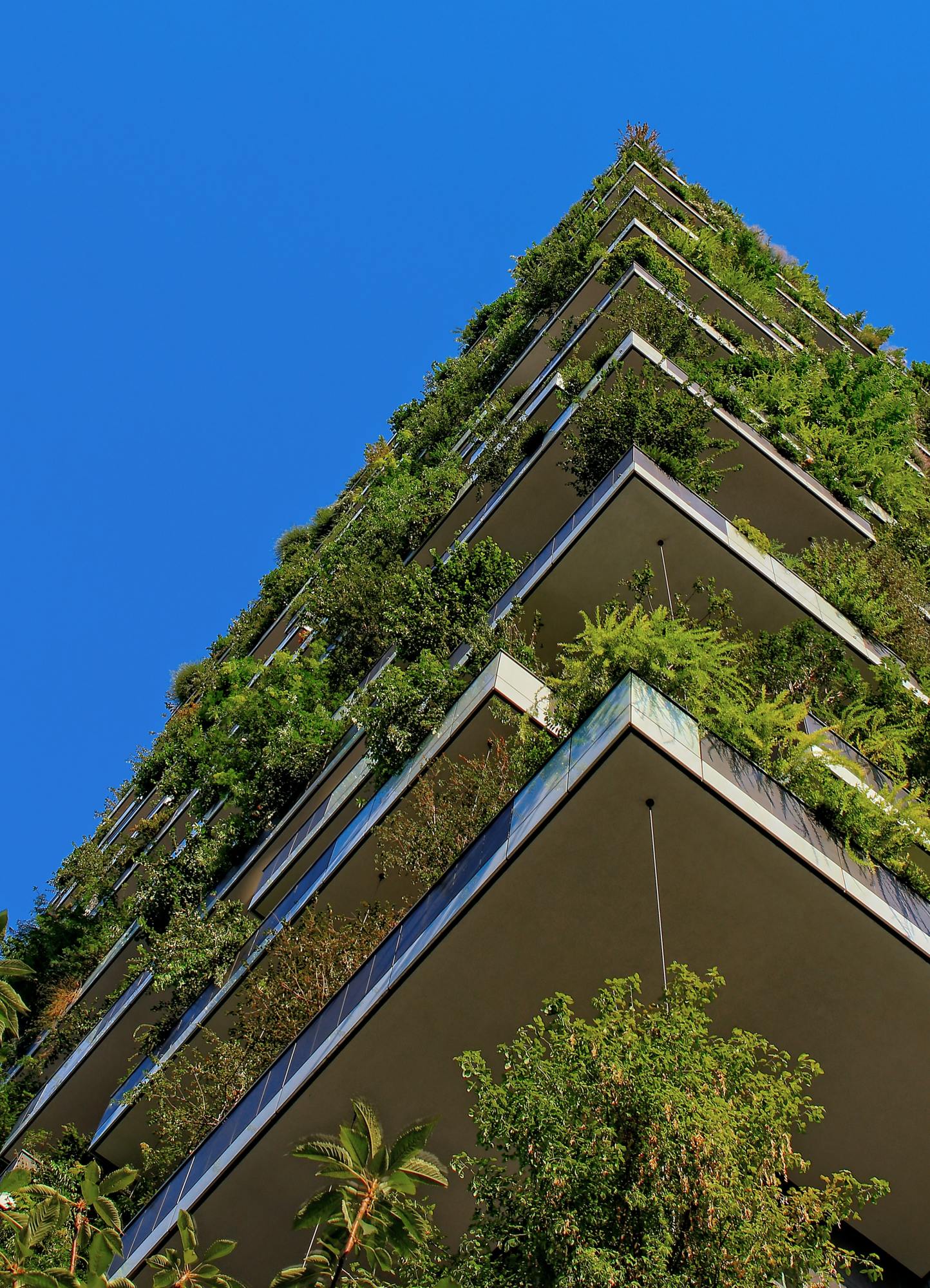 Rewilding Bosco Verticale