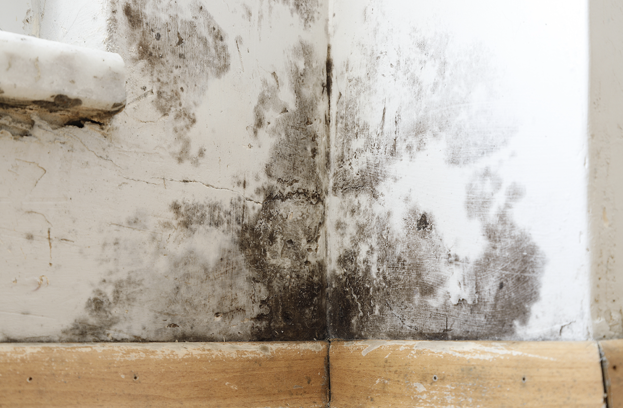 Awaab’s Law Could Force Social Housing Providers to Address Damp and Mould Faster