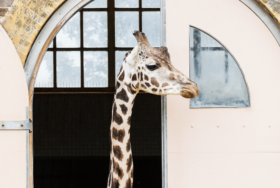 Pareto FM Retains London and Whipsnade Zoo Contract