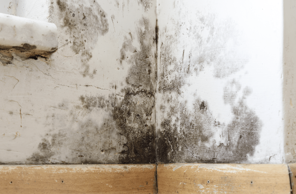 Could Smarter Asset Management Save the NHS £85 Million a Year?