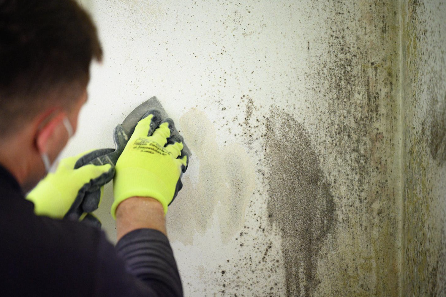 Why Are One in Ten Social Rented Homes in England Still Failing Basic Standards?