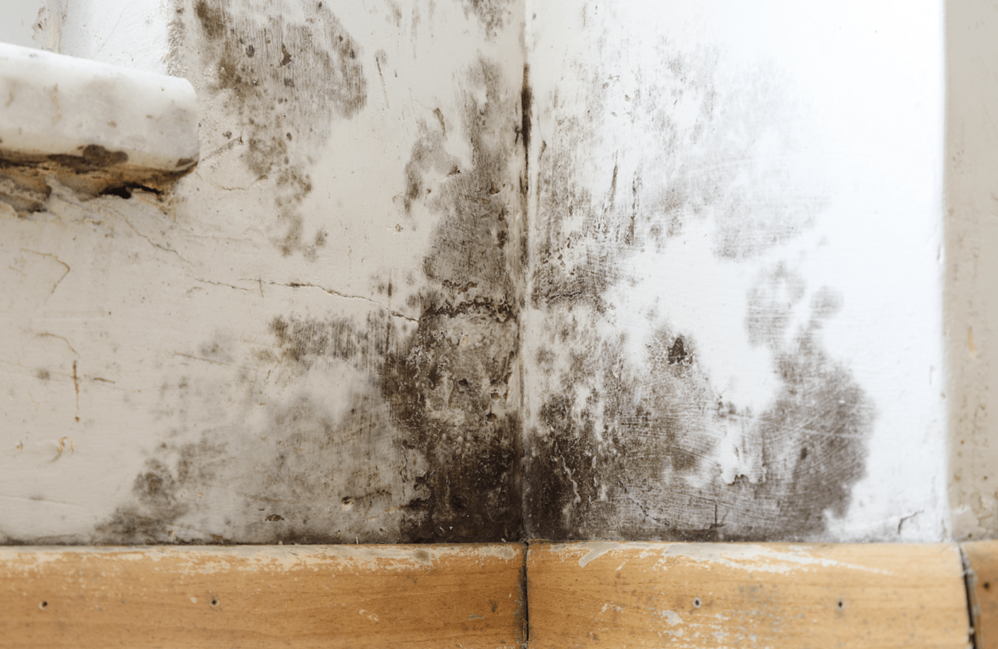 Phase One of Awaab’s Law Takes Effect