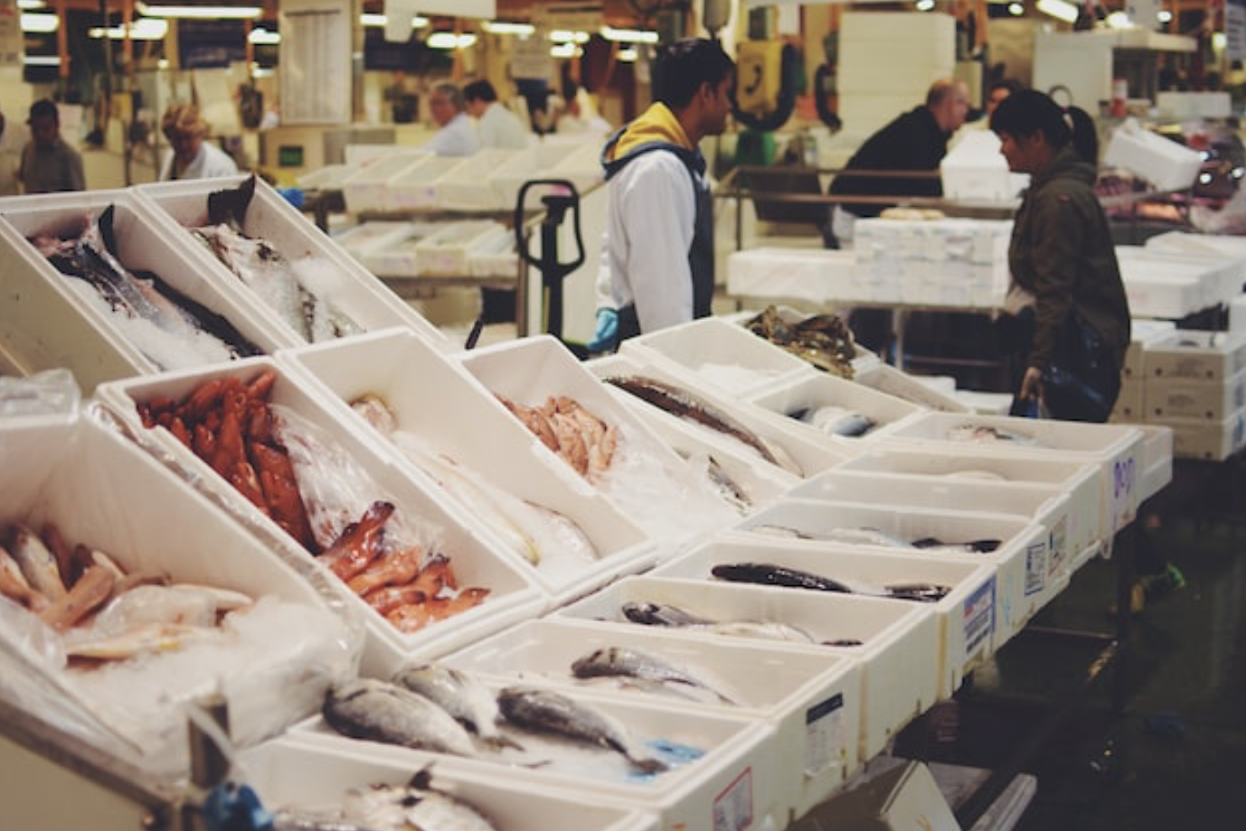 New Site Identified for Relocated Billingsgate and Smithfield Market