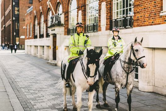 Servator Reassuring the public