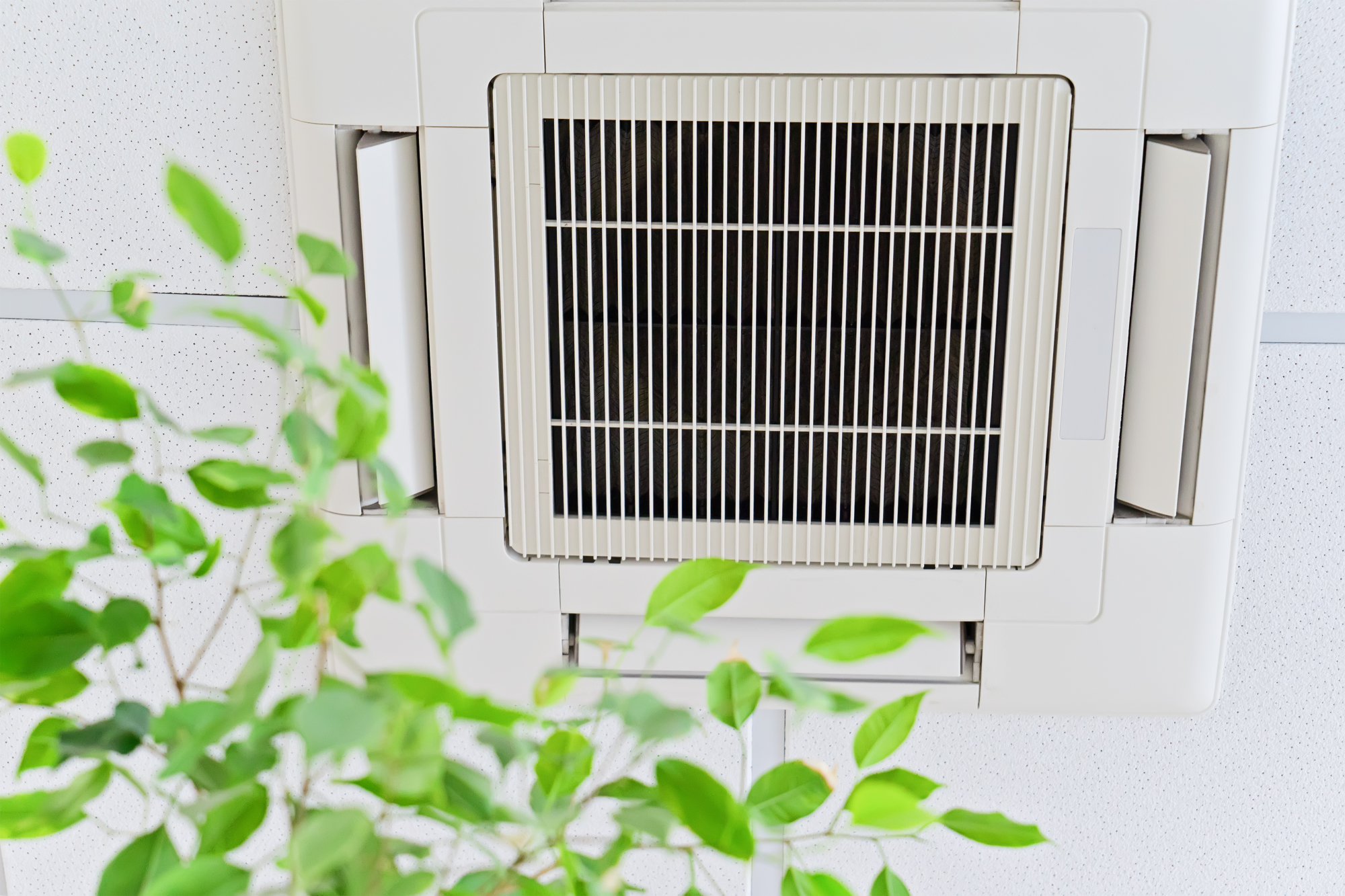 An image of an air conditioning vent with a plant in the foreground