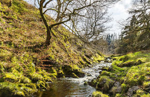 The River Goyt.