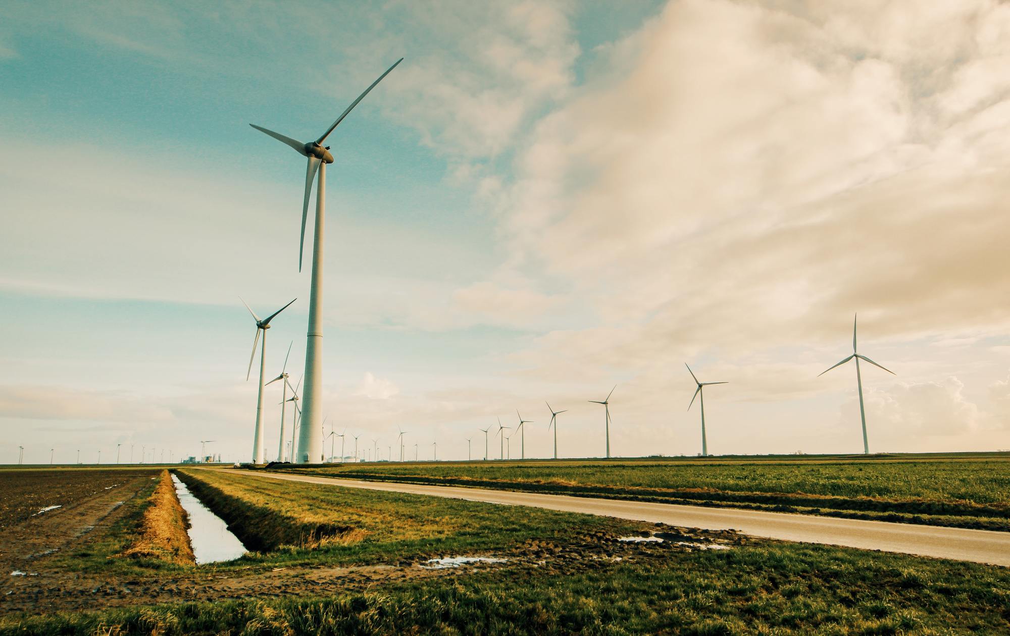 Business Leaders to Present Research Report to Ministers on Net-Zero Development
