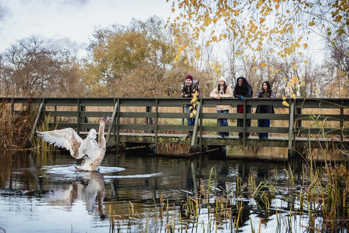 Elior UK Appointed Catering Partner To WWT London Wetland Centre