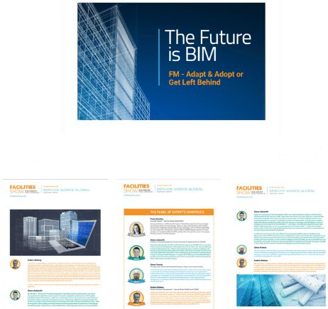 The Future is BIM