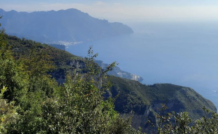 Energy Transition Update December 2025