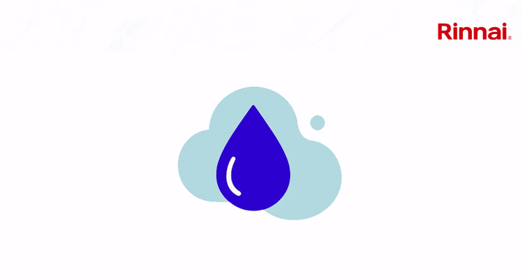 Continuous Flow Hot Water Heating – Still Part Of The Future