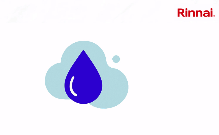 Natural Gas: Navigating Policy & Sustainability