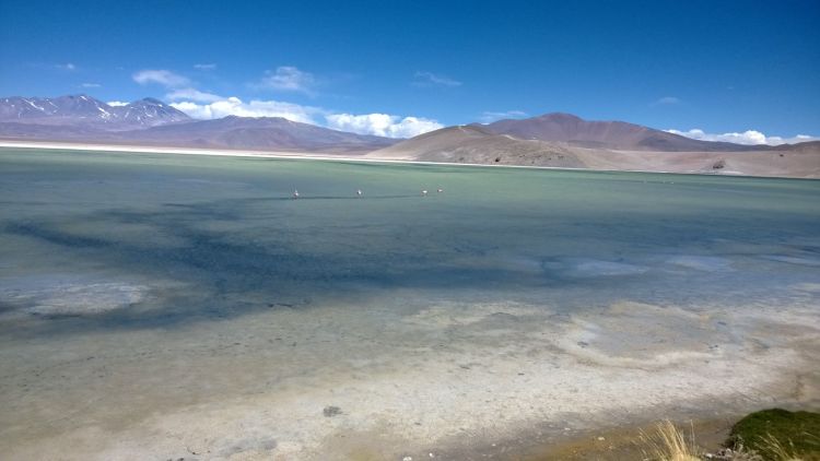 Energy Transition Update January 2026