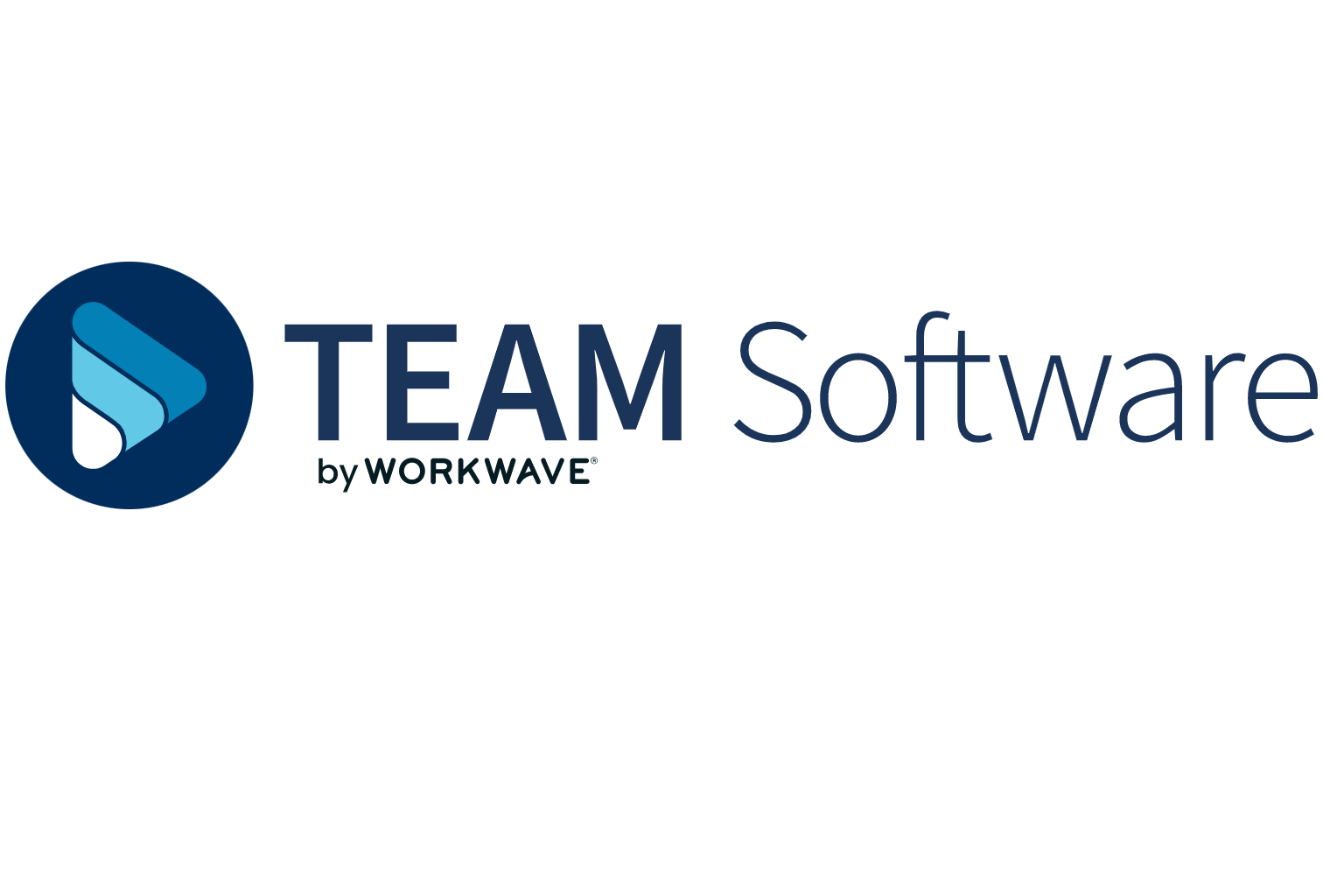 TEAM Software Logo